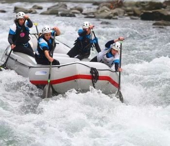 Indomite in gara 2014